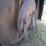 bush-whacker-md180-image-16