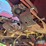 case-ih-1063-image-11