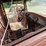 ford-model-a-image-3