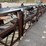 #8624-•-carry-away-conveyor-unit-(maq)-image-35
