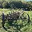 steel-wheel-side-bar-rake,-located-field-image-1