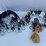 #1065-•-assorted-bungee-straps-image-1