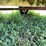 #4442-•-kicker-wagon-image-12