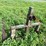 #4448-•-john-deere-large-stack-mover-image-2