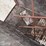 raised-calf-crates-image-12