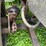 #4421-•-international-eagle-grain-truck-(no-title)-image-59