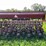 #4455-•-case-5400-soybean-special-grain-drill-image-6