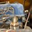 champ-forklift-image-23