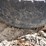 385/65r22.5-tires-image-12