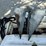 #116-•-1997-marine-fishing-boat-image-29