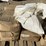 #176-•-esp-pellet-bagger-image-26