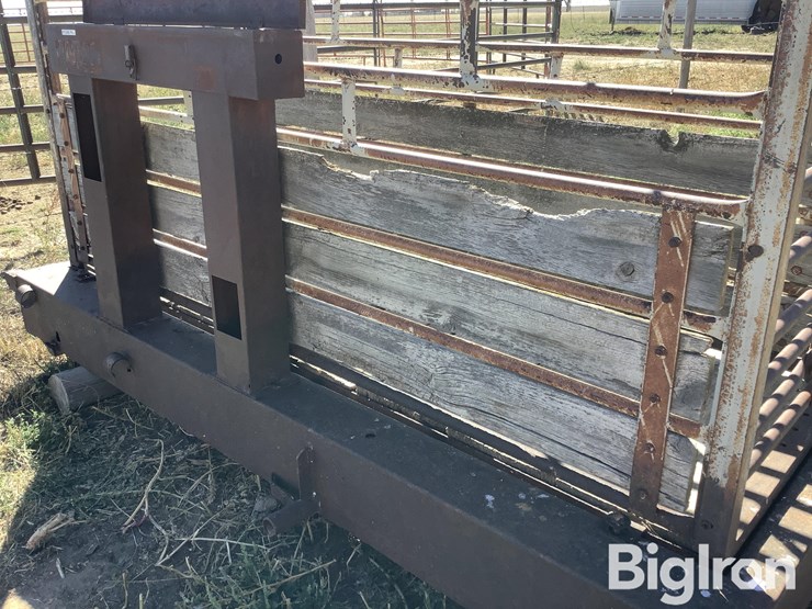ww-800-livestock-scale-image-17