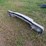 ?-buick-regal-parts-image-2