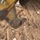 2018-caterpillar-d6n-xl-image-78