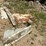#150-•-daul-arbor-gangsaw-image-41