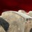 j-i-case-1490-image-7