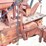 international-h-image-12