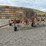 hesston-3980-image-4