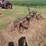 antique-single-bottom-plow-image-1