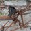 1930's-schwinn-bicycle-image-6