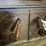 vintage-cast-iron-wood-stove-image-4