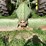 john-deere-8-image-3