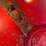 international-10-image-25
