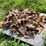 #4446-•-pallet-of-used-chisel-teeth-image-3