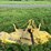 john-deere-272-image-1