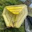 #4494-•-(2)-used-hopper-bins-image-13