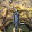 bush-whacker-md180-image-9