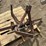 single-shank-ripper-image-6