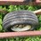 #4463-•-brady-(10)-tooth-chisel-plow-image-15