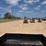 club-car-intell-trak-4x4-utv-image-27