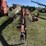 h&s-16-wheel-rake-28-image-2