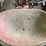 #4484-•-mccormick-super-h-tractor-image-28