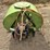 orchard-master-w104-pak-sprayer-image-7