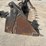 #5065-•-approx-84"-bobcat-combination-bucket-image-4