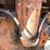 #1889-•-1957-allis-chalmers-c-tractor-image-41