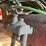#1704-•-2006-abs-rc5-live-bottom-trailer-image-62