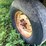 #4442-•-kicker-wagon-image-9