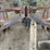 custom-152"-chisel-plow-image-8