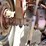 #1890-•-massy-ferguson-255-tractor-image-44