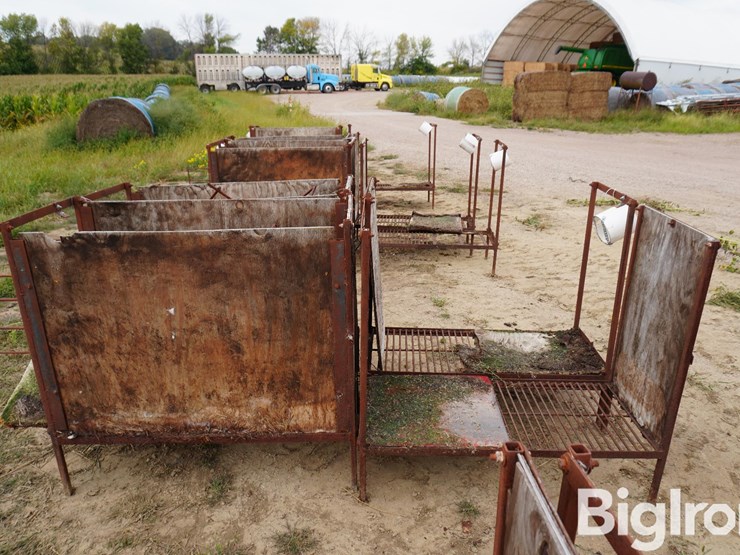 raised-calf-crates-image-8