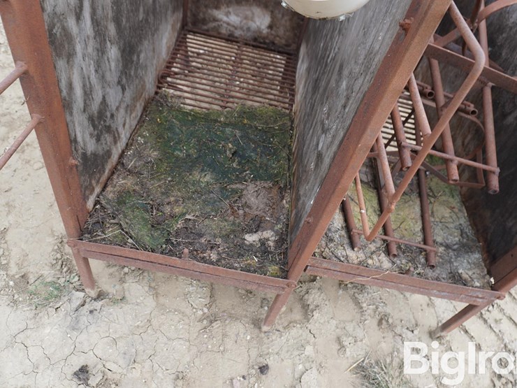 raised-calf-crates-image-17