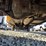 1995-ford-f-super-duty-image-34