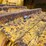 2013-caterpillar-d6-image-21