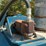 #150-•-daul-arbor-gangsaw-image-21