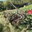 steel-wheel-side-bar-rake,-located-field-image-2