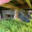 #4421-•-international-eagle-grain-truck-(no-title)-image-22